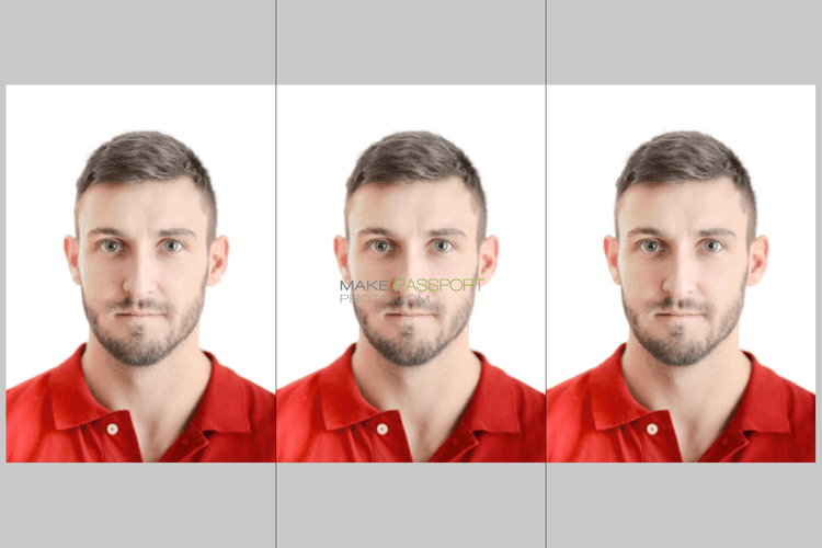 Create Brazil 🇧🇷 Common Passport Photo Size 50x70 Mm 5x7 Cm Online Passport Photo Generator 4183