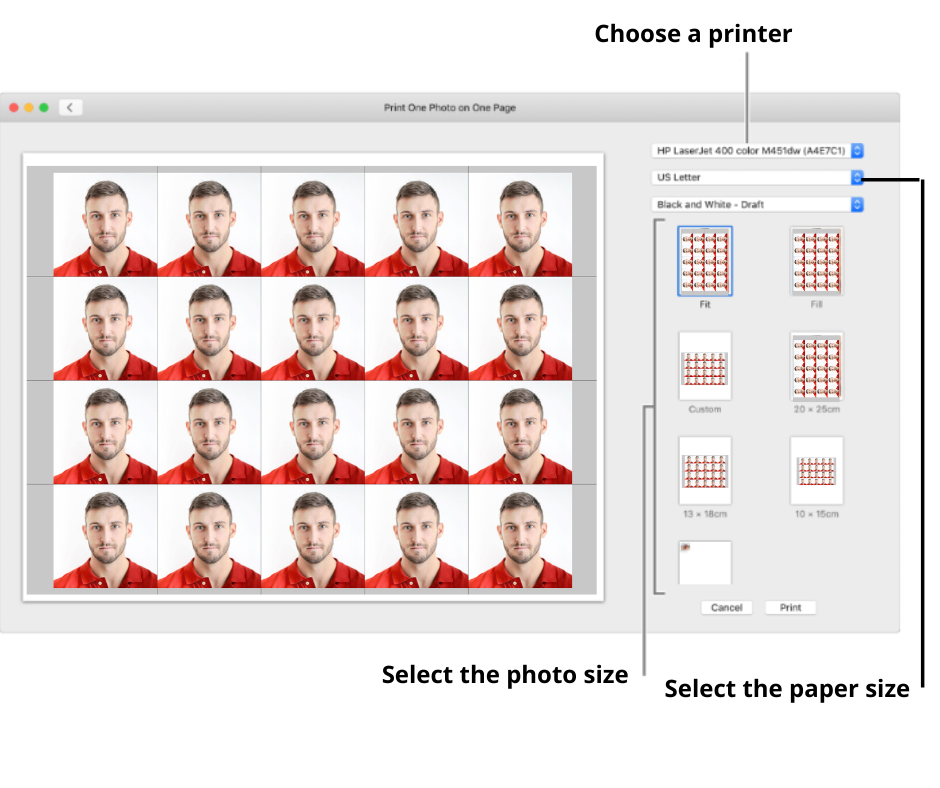 passport photo maker print size